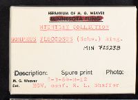 Gomphus floccosus image