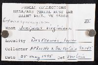 Image Associated With the Occurrence