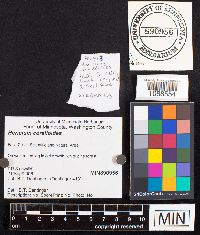 Image Associated With the Occurrence