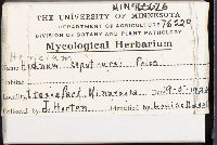 Image Associated With the Occurrence