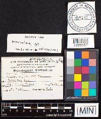 Image Associated With the Occurrence