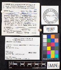 Image Associated With the Occurrence