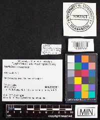 Image Associated With the Occurrence