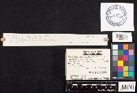 Image Associated With the Occurrence