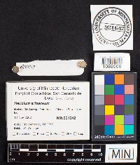 Image Associated With the Occurrence