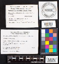 Image Associated With the Occurrence