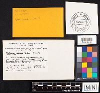 Image Associated With the Occurrence