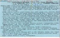 Hohenbuehelia angustata image