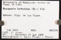 Image Associated With the Occurrence