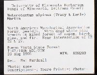 Heterotextus alpinus image