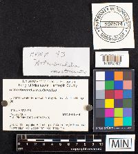 Image Associated With the Occurrence