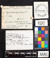 Image Associated With the Occurrence