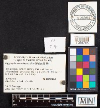 Image Associated With the Occurrence