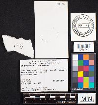 thumbnail image of current specimen