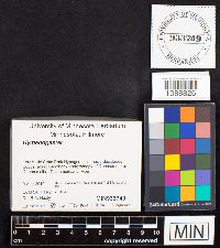 Image Associated With the Occurrence