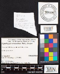 Image Associated With the Occurrence