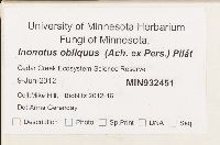 Inonotus obliquus image