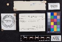 Media resource of Polyporus nitidus