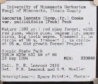 Thumbnail image of current specimen