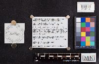 thumbnail image of current specimen