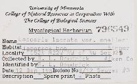 thumbnail image of current specimen