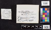 thumbnail image of current specimen