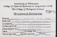 Thumbnail image of current specimen