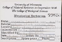 Thumbnail image of current specimen