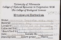 Thumbnail image of current specimen