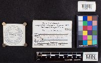 thumbnail image of current specimen
