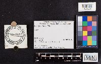 thumbnail image of current specimen