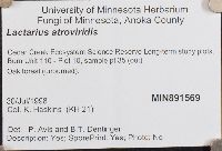 thumbnail image of current specimen