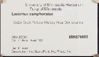 thumbnail image of current specimen