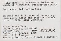 Lactarius chelidonium image