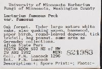 Lactarius fumosus image