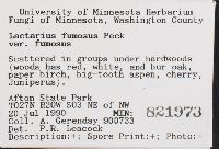 Lactarius fumosus image