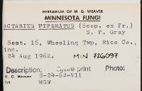 Thumbnail image of current specimen