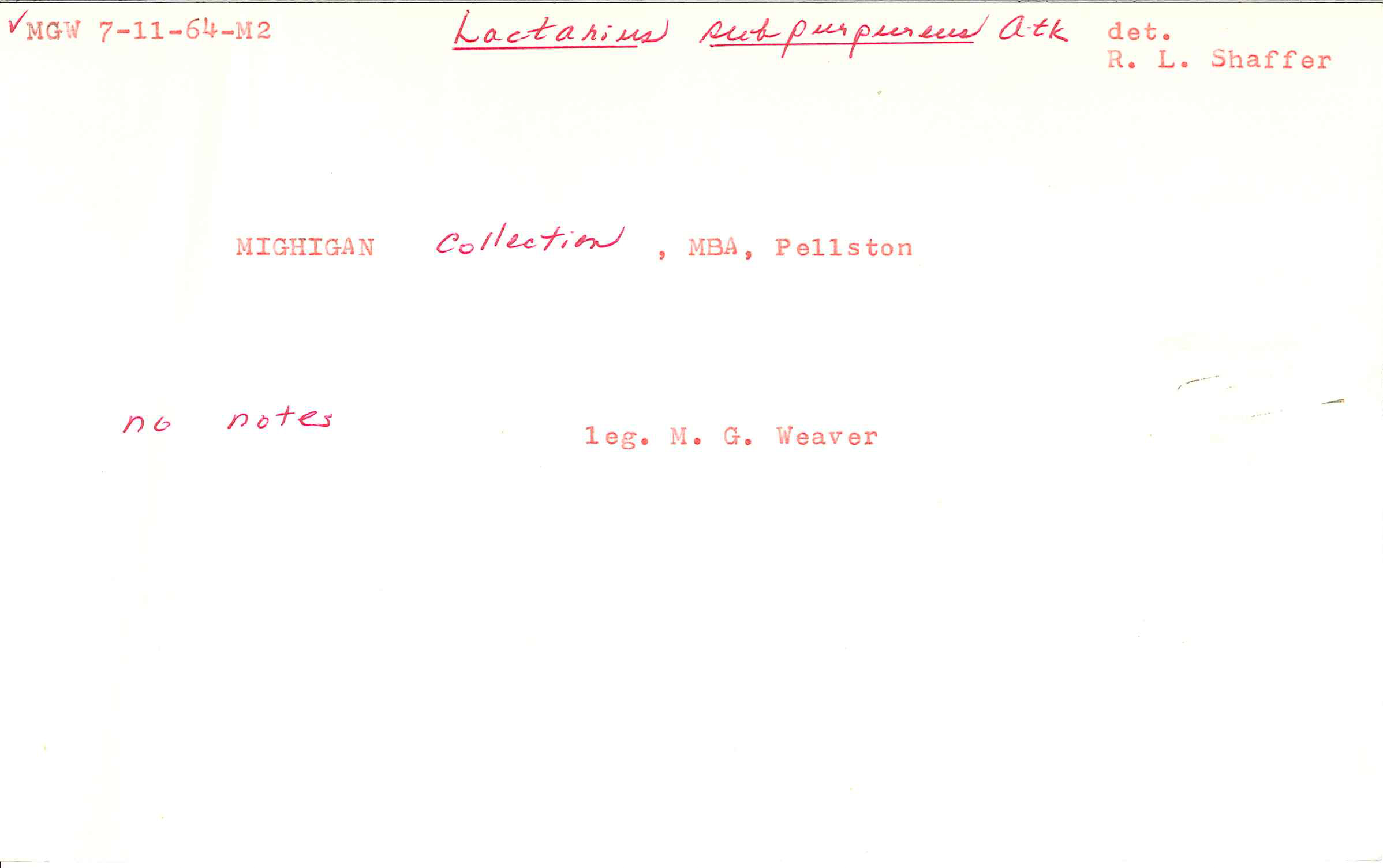 Lactarius subpurpureus image