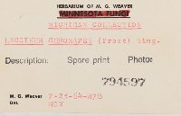 Image Associated With the Occurrence