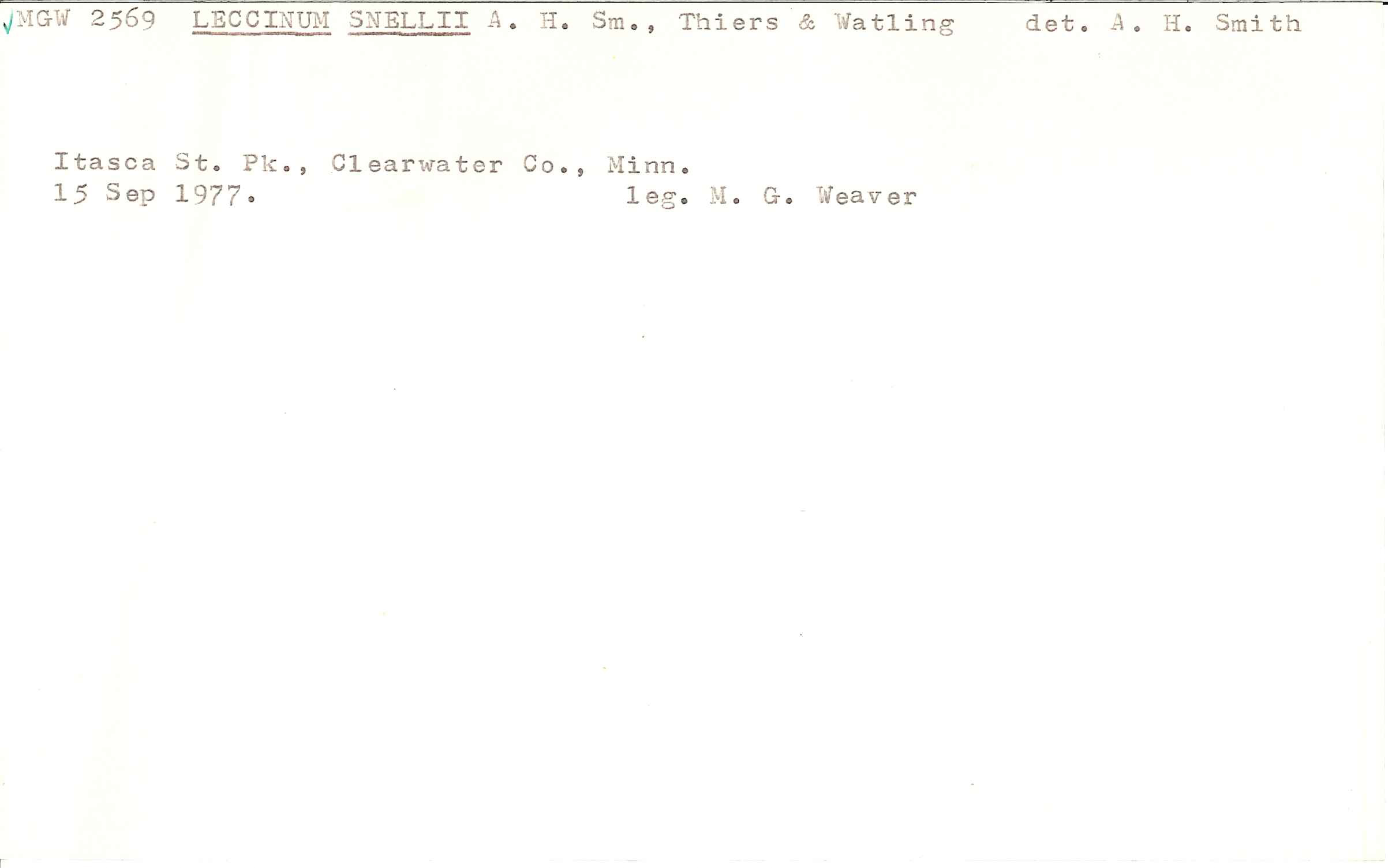 Leccinum snellii image