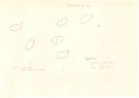 Lentaria patouillardii image