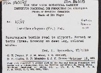 Lenzites elegans image