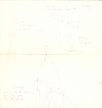 Lepiota castanea image