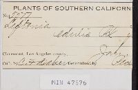 Thumbnail image of current specimen