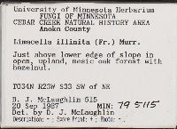 Limacella illinita image