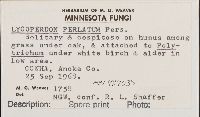 thumbnail image of current specimen