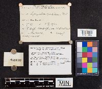 Image Associated With the Occurrence