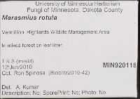 Thumbnail image of current specimen