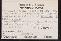 thumbnail image of current specimen