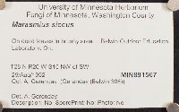 thumbnail image of current specimen